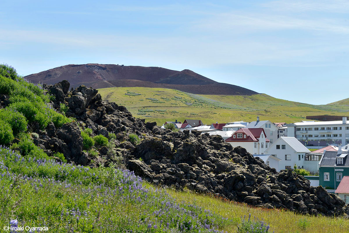 連載 変わりゆく地球 アイスランド ウエストマン諸島ヘイマエイ島 第５回 Energyshift